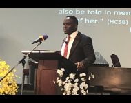 IMG 4674